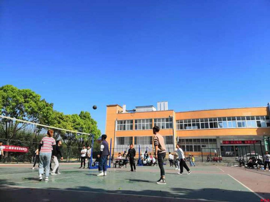外国语学院在校荷球、排球联赛中取得佳绩